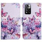 For Xiaomi Redmi Note 11 Pro 5G China Painted Pattern Flip Leather Phone Case(Bright Butterfly) - 1