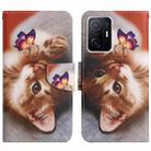 For Xiaomi Mi 11T Painted Pattern Flip Leather Phone Case(Butterfly Cat) - 1