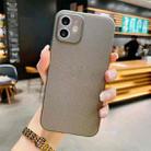 For iPhone 12 Radiating Frosted PP Phone Case(Grey) - 1