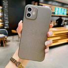 For iPhone 12 Pro Radiating Frosted PP Phone Case(Grey) - 1