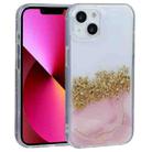 For iPhone 13 DFANS DESIGN Dual-color Starlight Shining Phone Case(Pink) - 1