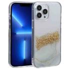 For iPhone 13 Pro DFANS DESIGN Dual-color Starlight Shining Phone Case (White) - 1