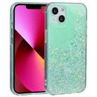 For iPhone 13 DFANS DESIGN Snowflake Starlight Shining Phone Case(Green) - 1