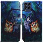 For Samsung Galaxy M33 5G Coloured Drawing Leather Phone Case(Oil Painting Owl) - 1