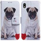 For Sony Xperia Ace III Coloured Drawing Leather Phone Case(Pug) - 1