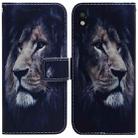 For Sony Xperia Ace III Coloured Drawing Leather Phone Case(Lion) - 1
