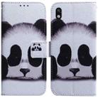 For Sony Xperia Ace III Coloured Drawing Leather Phone Case(Panda) - 1