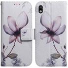 For Sony Xperia Ace III Coloured Drawing Leather Phone Case(Magnolia Flower) - 1