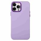 For iPhone 13 Pro Max Electroplated Silicone Phone Case (Purple) - 1