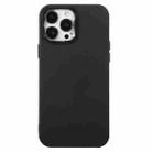 For iPhone 12 Pro Max Electroplated Silicone Phone Case(Black) - 1