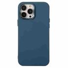 For iPhone 11 Pro Electroplated Silicone Phone Case (Blue) - 1
