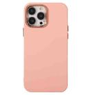 For iPhone 11 Electroplated Silicone Phone Case (Pink) - 1