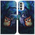 For Motorola Moto G52 Coloured Drawing Leather Phone Case(Oil Painting Owl) - 1