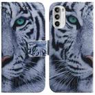 For Motorola Moto G52 Coloured Drawing Leather Phone Case(Tiger) - 1