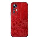 For Xiaomi 12 Lite Crocodile Top Layer Cowhide Leather Phone Case(Red) - 1