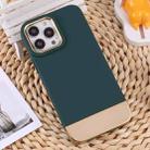For iPhone 13 Pro TPU + Electroplated PC Phone Case (Green) - 1