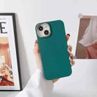 For iPhone 13 Pro Liquid Silicone Electroplating + Flannel Phone Case (Dark Green) - 1