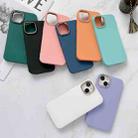 For iPhone 12 Pro Liquid Silicone Electroplating + Flannel Phone Case(Lake Blue) - 2