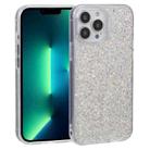 For iPhone 13 Pro Max DFANS DESIGN Starry Sky Epoxy Phone Case (Silver) - 1