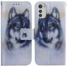 For Motorola Moto E32 Coloured Drawing Leather Phone Case(White Wolf) - 1