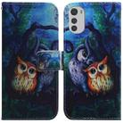 For Motorola Moto E32 Coloured Drawing Leather Phone Case(Oil Painting Owl) - 1