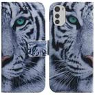 For Motorola Moto E32 Coloured Drawing Leather Phone Case(Tiger) - 1