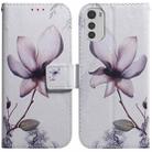 For Motorola Moto E32 Coloured Drawing Leather Phone Case(Magnolia Flower) - 1