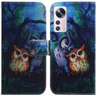 For Xiaomi 12 Lite Coloured Drawing Leather Phone Case(Oil Painting Owl) - 1