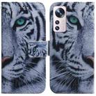 For Xiaomi 12 Lite Coloured Drawing Leather Phone Case(Tiger) - 1