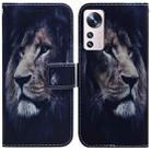 For Xiaomi 12 Lite Coloured Drawing Leather Phone Case(Lion) - 1