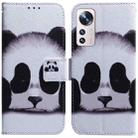 For Xiaomi 12 Lite Coloured Drawing Leather Phone Case(Panda) - 1