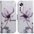 For Xiaomi 12 Lite Coloured Drawing Leather Phone Case(Magnolia Flower) - 1