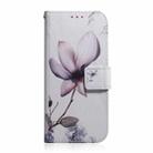 For Xiaomi 12 Lite Coloured Drawing Leather Phone Case(Magnolia Flower) - 2