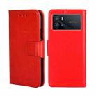 For vivo iQOO 9 5G Crystal Texture Leather Phone Case(Red) - 1