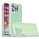 For iPhone 13 Pro Max Charm Pupil Frosted Skin Feel Phone Case (Green) - 1