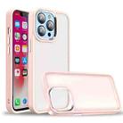 For iPhone 12 / 12 Pro Charm Pupil Frosted Skin Feel Phone Case(Pink) - 1