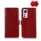 For Xiaomi 12 Lite Crocodile Top Layer Cowhide Leather Phone Case(Red) - 1
