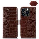 For iPhone 14 Pro Crocodile Top Layer Cowhide Leather Phone Case (Brown) - 1