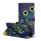 For Galaxy S20 Ultra Oil Embossed Coloured Drawing Pattern Horizontal Flip PU Leather Case with Holder & Card Slots & Wallet(Blue Owl) - 1