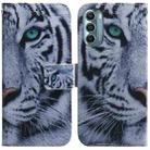 For Motorola Moto G Stylus 5G 2022 Coloured Drawing Leather Phone Case(Tiger) - 1