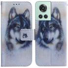 For OnePlus 10R / Ace Coloured Drawing Leather Phone Case(White Wolf) - 1