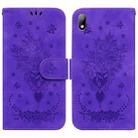 For Huawei Y5 2019 / Honor 8S Butterfly Rose Embossed Leather Phone Case(Purple) - 1