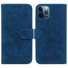 For iPhone 12 Pro Max Butterfly Rose Embossed Leather Phone Case(Blue) - 1