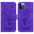 For iPhone 12 Pro Max Butterfly Rose Embossed Leather Phone Case(Purple) - 1