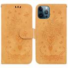 For iPhone 12 Pro Max Butterfly Rose Embossed Leather Phone Case(Yellow) - 1