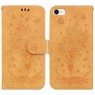 For iPhone SE 2022 / SE 2020 / 8 / 7 Butterfly Rose Embossed Leather Phone Case(Yellow) - 1