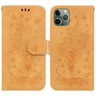 For iPhone 11 Pro Butterfly Rose Embossed Leather Phone Case (Yellow) - 1