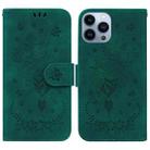 For iPhone 13 Pro Butterfly Rose Embossed Leather Phone Case (Green) - 1