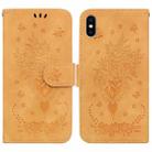 For iPhone X / XS Butterfly Rose Embossed Leather Phone Case(Yellow) - 1
