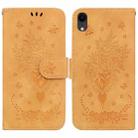 For iPhone XR Butterfly Rose Embossed Leather Phone Case(Yellow) - 1